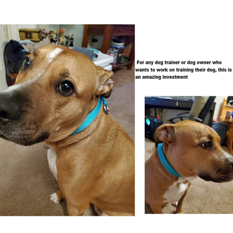 Nylon Reflective Filament P Chain Adjustable Size Collar(Grass Green) by bashfashion