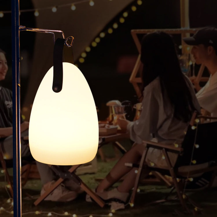 16 Colors LED Night Light with Handle Hanging Lantern USB Rechargeable Table Lamp(Ball) by bashfashion