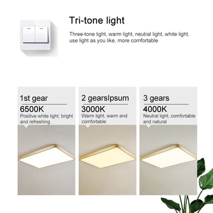 Macaron LED Round Ceiling Lamp, 3-Colors Light, Size:23cm(Pink) by bashfashion