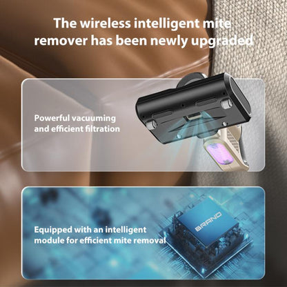 EDA0083039_B2.jpg@3b733e395936d32c060f69cab4160dee