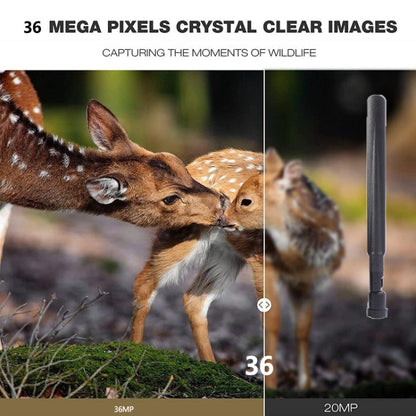 HC-801Pro 4K 4G Outdoor Hunting Camera App Remote Mobile Phone Control To View Photos And Video At Any Time, AU Plug by bashfashion