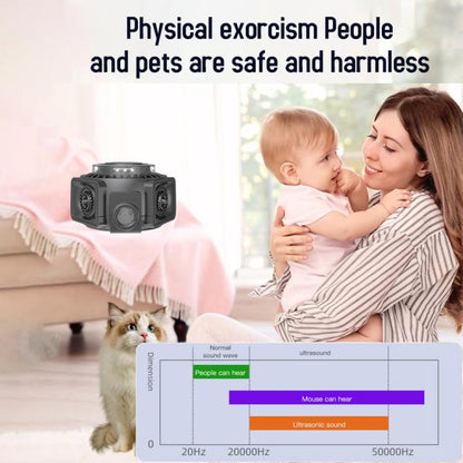 TBD06062353_B5.jpg@7e2e72fd90705cd4c448aecb83080bf1