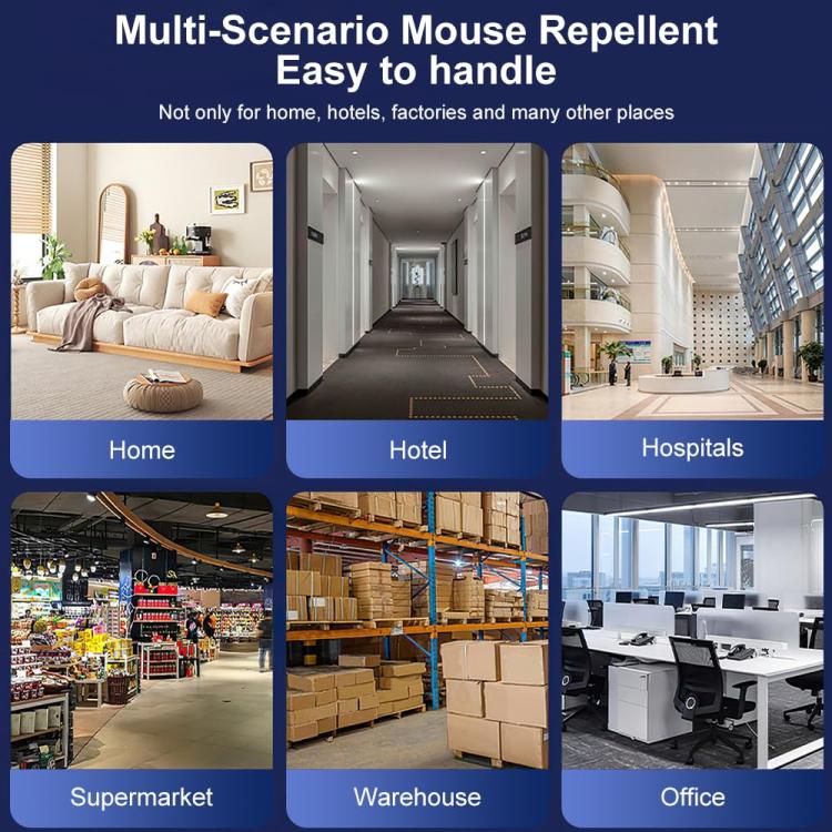 TBD06062359_B7.jpg@423874d7fe38b4a1dc567791dece37e7